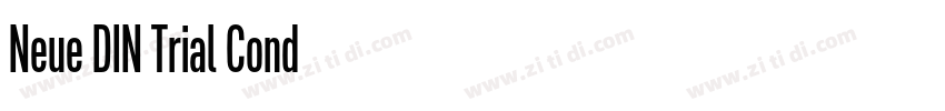 Neue DIN Trial Cond字体转换